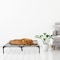 Pet Adobe Elevated Portable Pet Bed Cot-Style 36 inx29.75 inx7 in for Dogs and Small Pets, Indoor/Outdoor 634553AAY - alternate 8